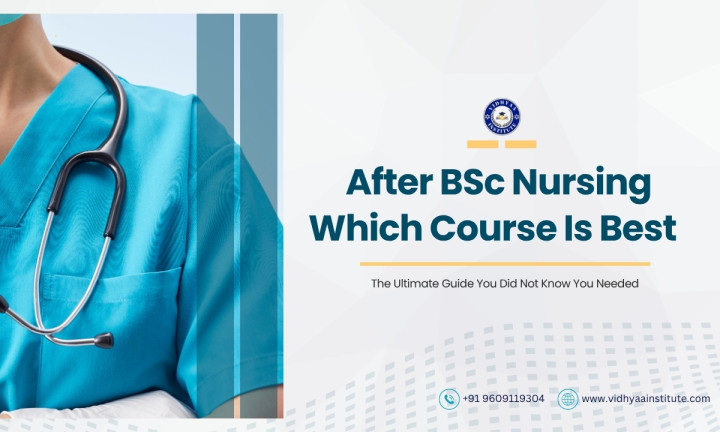 After BSc Nursing Which Course Is Best